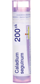 Caladium Seguinum 200C Pellets 80 pellets