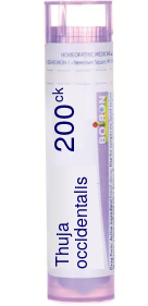 Thuja Occidentalis 200C Pellets 80 pellets