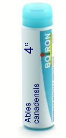 Abies Canadensis 4C Boiron Pellets Unit Dose