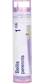 Bellis Perennis 1M Boiron Pellets 80 pellets