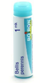 Bellis Perennis 1M Boiron Pellets Unit Dose