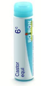 Castor Equi 6C Boiron Pellets Unit Dose