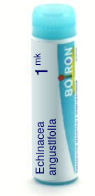 Echinacea Angustifolia 1M Boiron Pellets Unit Dose