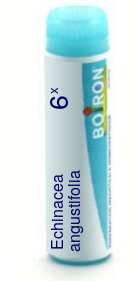 Echinacea Angustifolia 6X Boiron Pellets Unit Dose