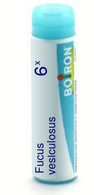 Fucus vesiculosus 6X Boiron Pellets Unit Dose