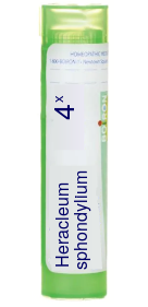 Heracleum Sphondylium 4X Boiron Pellets 80 pellets