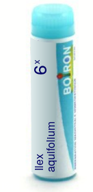 Ilex Aquifolium 6X Boiron Pellets Unit Dose