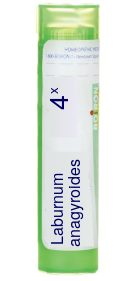 Laburnum Anagyroides 4X Boiron Pellets 80 pellets