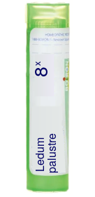 Ledum Palustre 8X Boiron Pellets 80 pellets