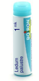 Ledum Palustre 1M Boiron Pellets Unit Dose