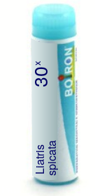 Liatris Spicata 30X Boiron Pellets Unit Dose