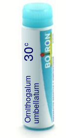 Ornithogalum Umbellatum 30C Boiron Pellets Unit Dose