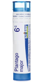 Plantago Major 6C Boiron Pellets 80 pellets