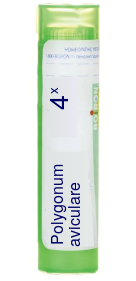 Polygonum aviculare 4X Boiron Pellets 80 pellets