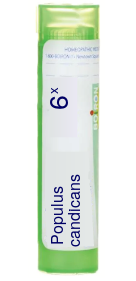 Populus Candicans 6X Boiron Pellets 80 pellets