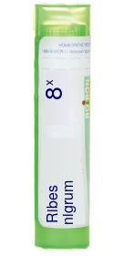 Ribes nigrum 8X Boiron Pellets 80 pellets