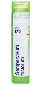 Sempervivum Tectorum 3X Boiron Pellets 80 pellets
