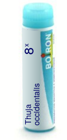 Thuja Occidentalis 8X Boiron Pellets Unit Dose